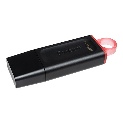Kingston - DTX-256GB - התמונה להמחשה בלבד