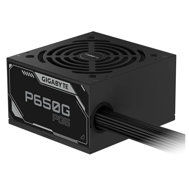 Gigabyte - GP-P650G-PG5 - ������ ������ ����