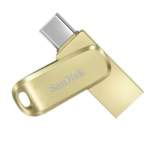 SANDISK - SDDDC4-256G-G46GD - ������ ������ ����