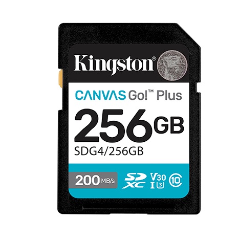 Kingston - SDG4-256GB - ������ ������ ����