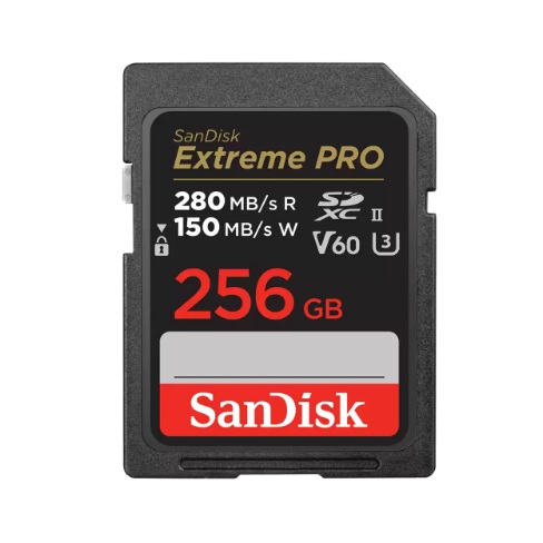 SANDISK - SDSDXEP-256G-GN4IN - ������ ������ ����