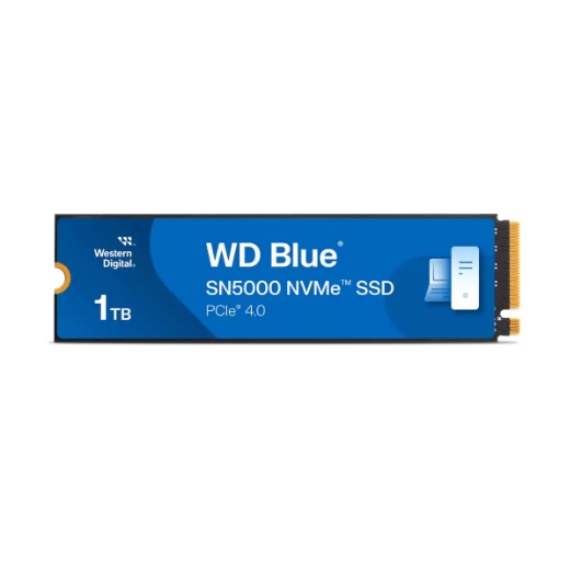 Western Digital - WDS100T4B0E - התמונה להמחשה בלבד
